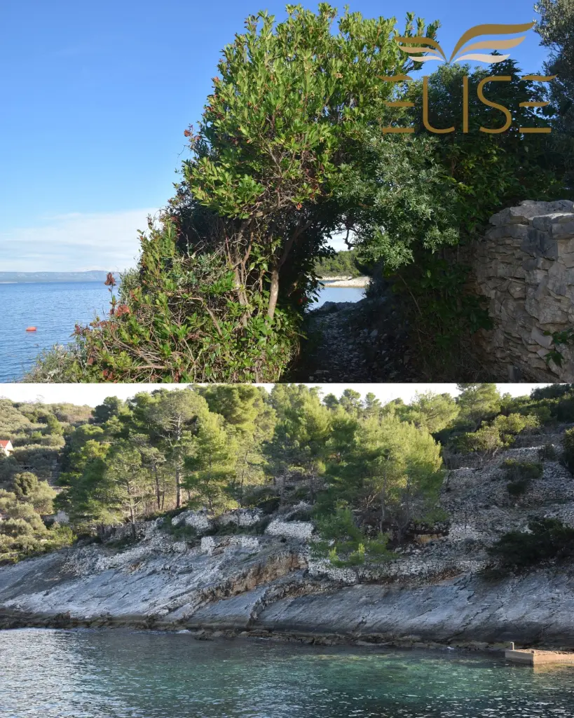 tankaraca web 2.webp