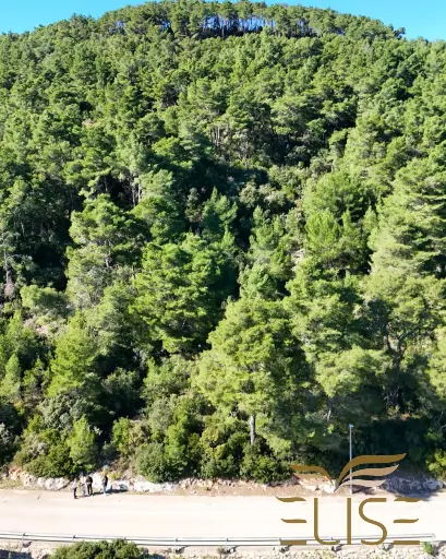 Baugrundstück in Smokvica – Natur, Ruhe und Blick auf die Weinberge, €60.000