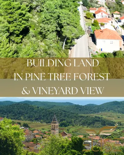 Baugrundstück in Smokvica – Natur, Ruhe und Blick auf die Weinberge, €60.000